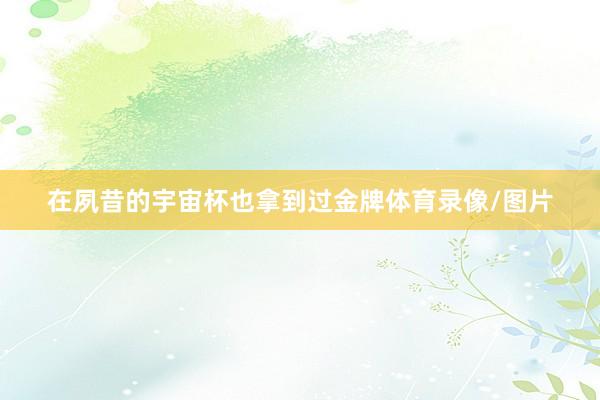 在夙昔的宇宙杯也拿到过金牌体育录像/图片