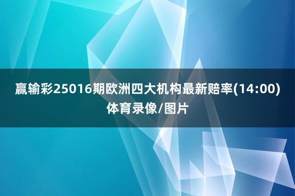 赢输彩25016期欧洲四大机构最新赔率(14:00)体育录像/图片