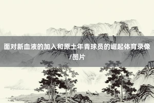 面对新血液的加入和原土年青球员的崛起体育录像/图片