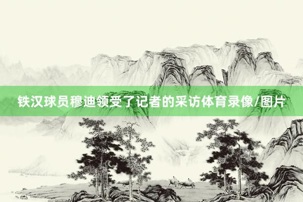 铁汉球员穆迪领受了记者的采访体育录像/图片