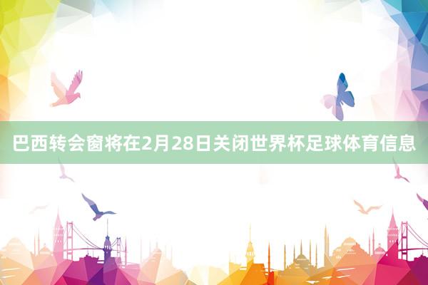 巴西转会窗将在2月28日关闭世界杯足球体育信息