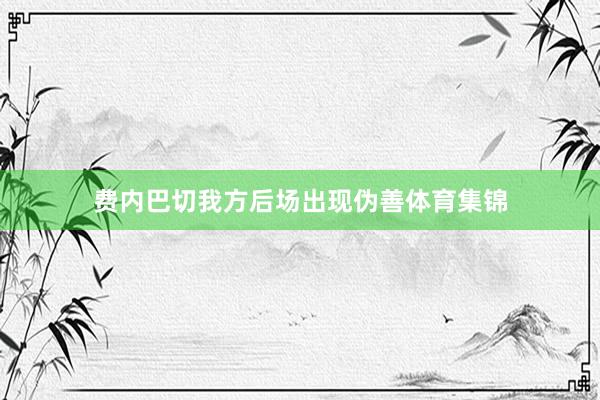 费内巴切我方后场出现伪善体育集锦