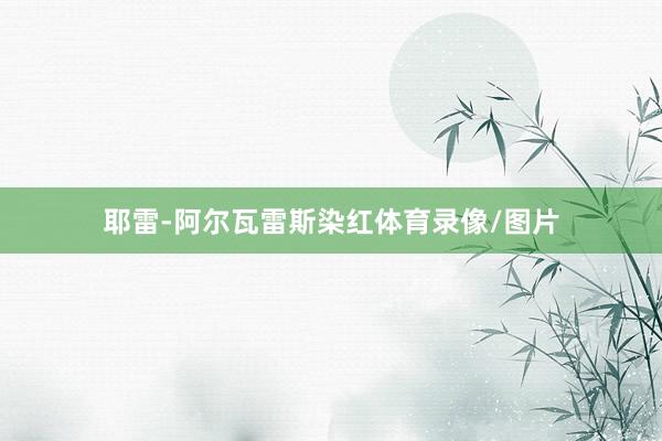耶雷-阿尔瓦雷斯染红体育录像/图片