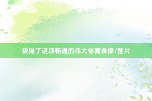 拔擢了这项畅通的伟大体育录像/图片