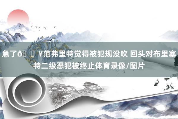 急了💥范弗里特觉得被犯规没吹 回头对布里塞特二级恶犯被终止体育录像/图片