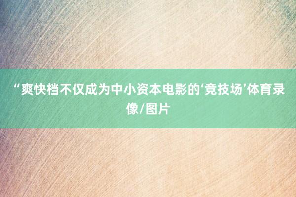 “爽快档不仅成为中小资本电影的‘竞技场’体育录像/图片