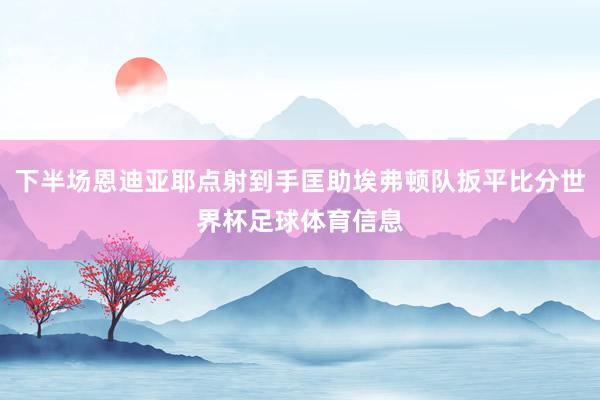 下半场恩迪亚耶点射到手匡助埃弗顿队扳平比分世界杯足球体育信息