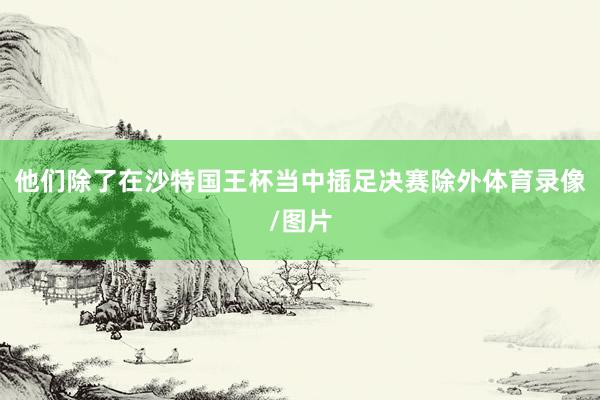 他们除了在沙特国王杯当中插足决赛除外体育录像/图片