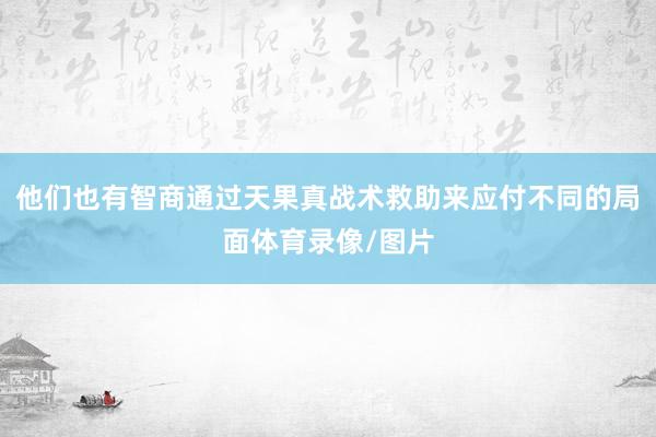 他们也有智商通过天果真战术救助来应付不同的局面体育录像/图片