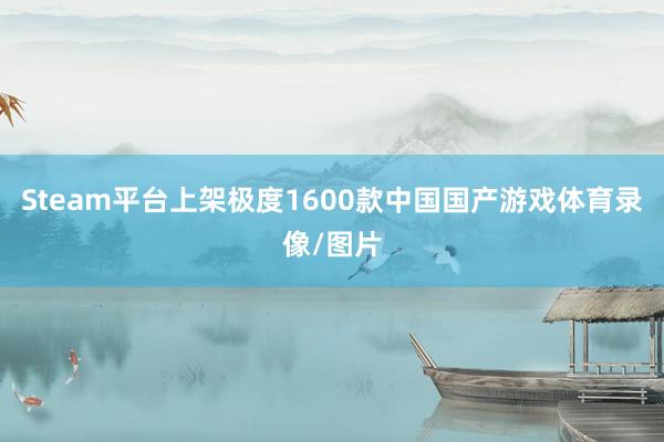 Steam平台上架极度1600款中国国产游戏体育录像/图片