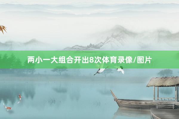两小一大组合开出8次体育录像/图片