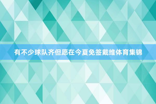 有不少球队齐但愿在今夏免签戴维体育集锦