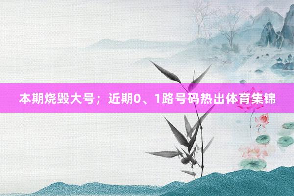 本期烧毁大号；近期0、1路号码热出体育集锦