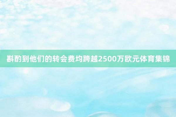 斟酌到他们的转会费均跨越2500万欧元体育集锦