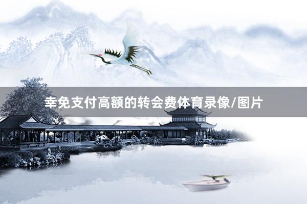 幸免支付高额的转会费体育录像/图片