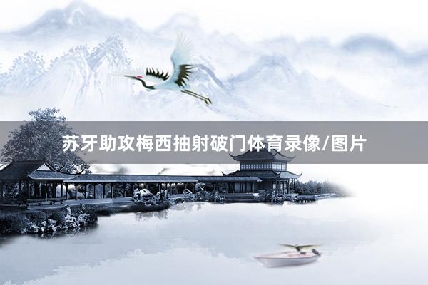 苏牙助攻梅西抽射破门体育录像/图片