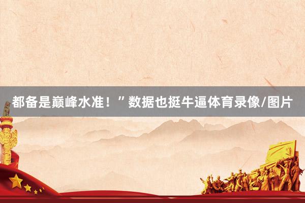 都备是巅峰水准！”数据也挺牛逼体育录像/图片