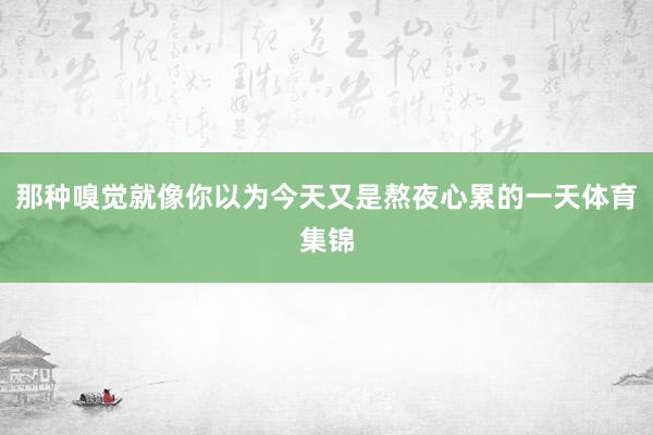 那种嗅觉就像你以为今天又是熬夜心累的一天体育集锦