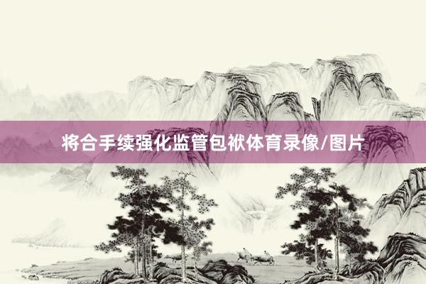 将合手续强化监管包袱体育录像/图片