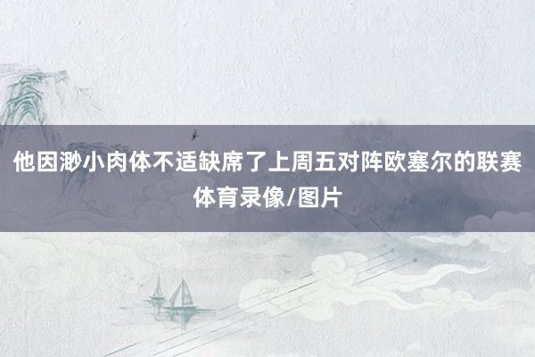 他因渺小肉体不适缺席了上周五对阵欧塞尔的联赛体育录像/图片