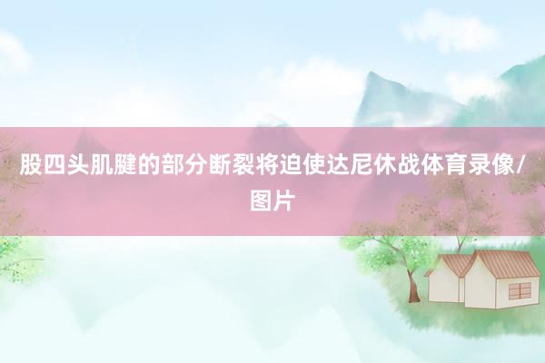 股四头肌腱的部分断裂将迫使达尼休战体育录像/图片
