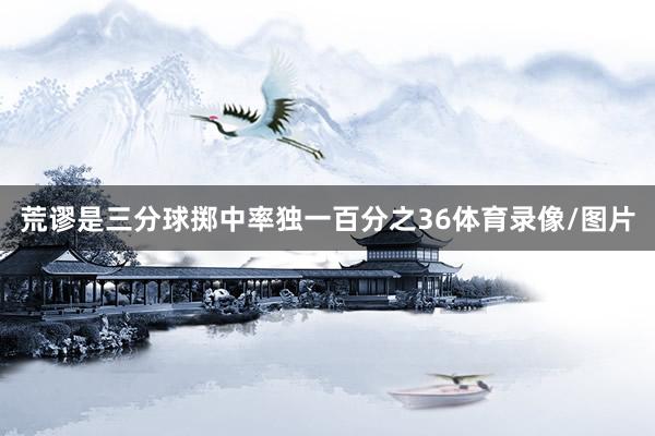 荒谬是三分球掷中率独一百分之36体育录像/图片