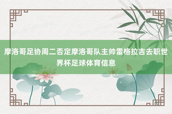 摩洛哥足协周二否定摩洛哥队主帅雷格拉吉去职世界杯足球体育信息
