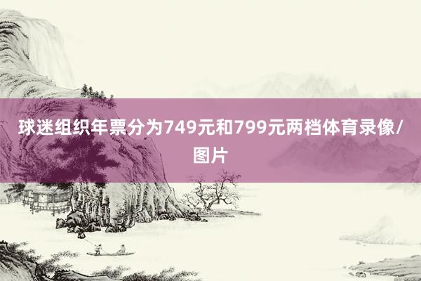 球迷组织年票分为749元和799元两档体育录像/图片