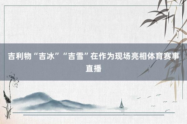 吉利物“吉冰”“吉雪”在作为现场亮相体育赛事直播