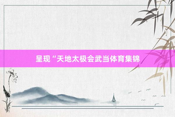 呈现“天地太极会武当体育集锦