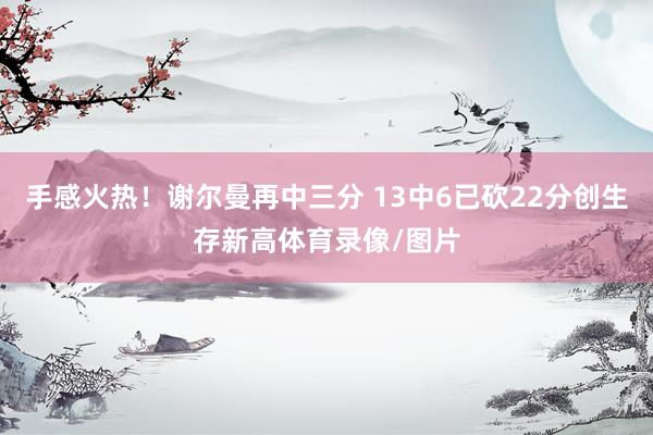 手感火热！谢尔曼再中三分 13中6已砍22分创生存新高体育录像/图片