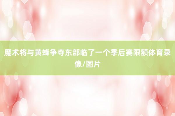 魔术将与黄蜂争夺东部临了一个季后赛限额体育录像/图片