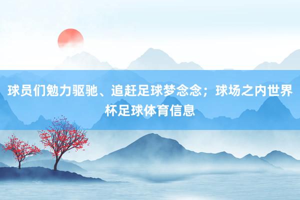 球员们勉力驱驰、追赶足球梦念念；球场之内世界杯足球体育信息