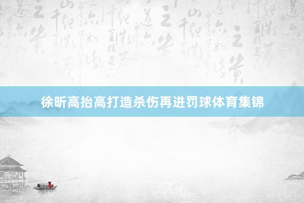 徐昕高抬高打造杀伤再进罚球体育集锦