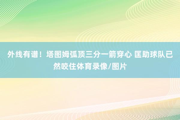 外线有谱！塔图姆弧顶三分一箭穿心 匡助球队已然咬住体育录像/图片