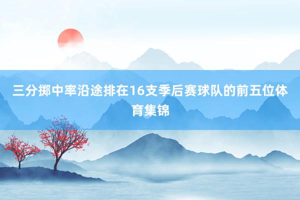 三分掷中率沿途排在16支季后赛球队的前五位体育集锦