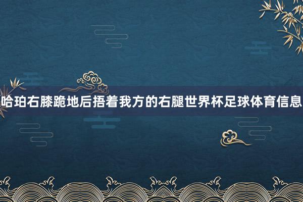 哈珀右膝跪地后捂着我方的右腿世界杯足球体育信息