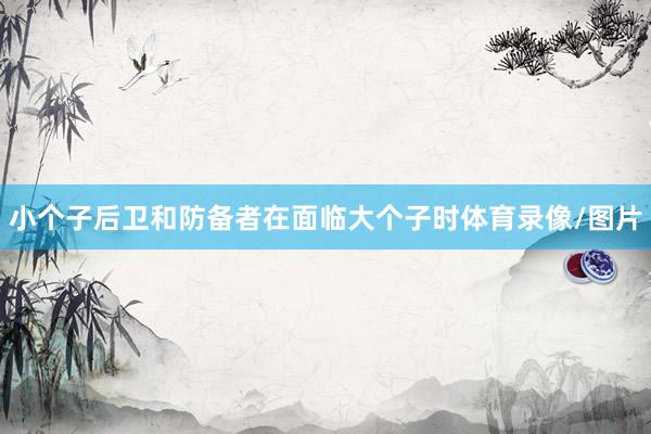 小个子后卫和防备者在面临大个子时体育录像/图片